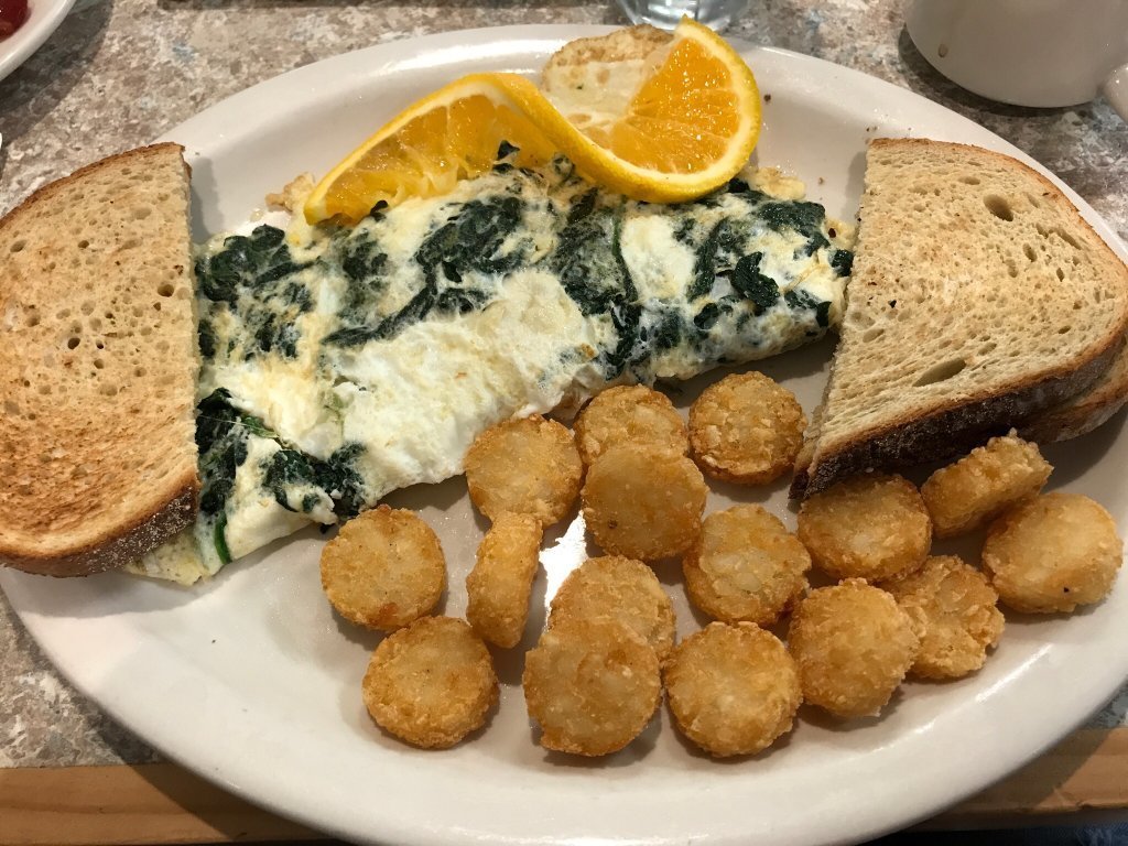 The Jellyfish Cafe