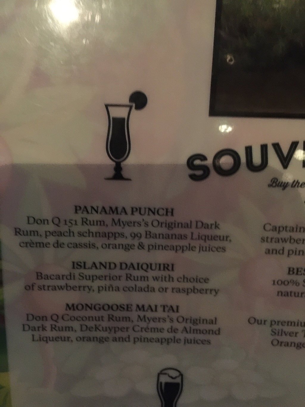Rainforest Cafe menu photo