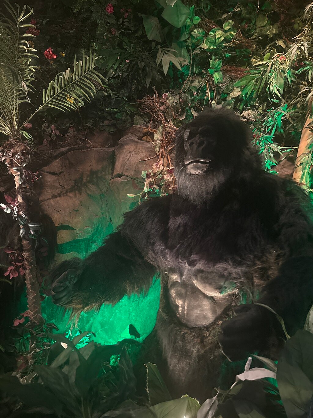 Rainforest Cafe
