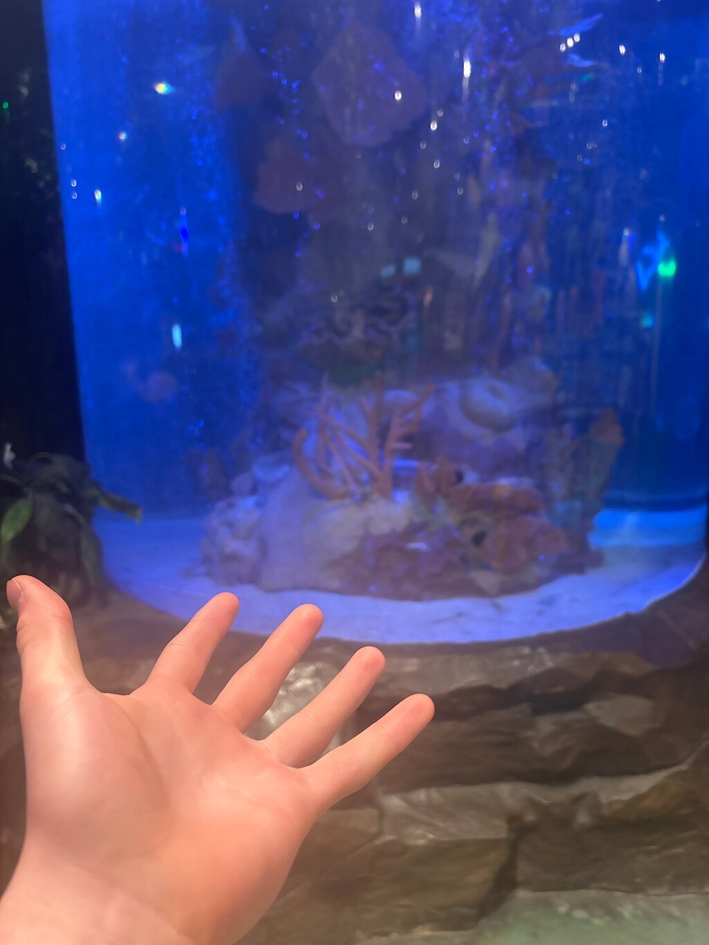 Rainforest Cafe