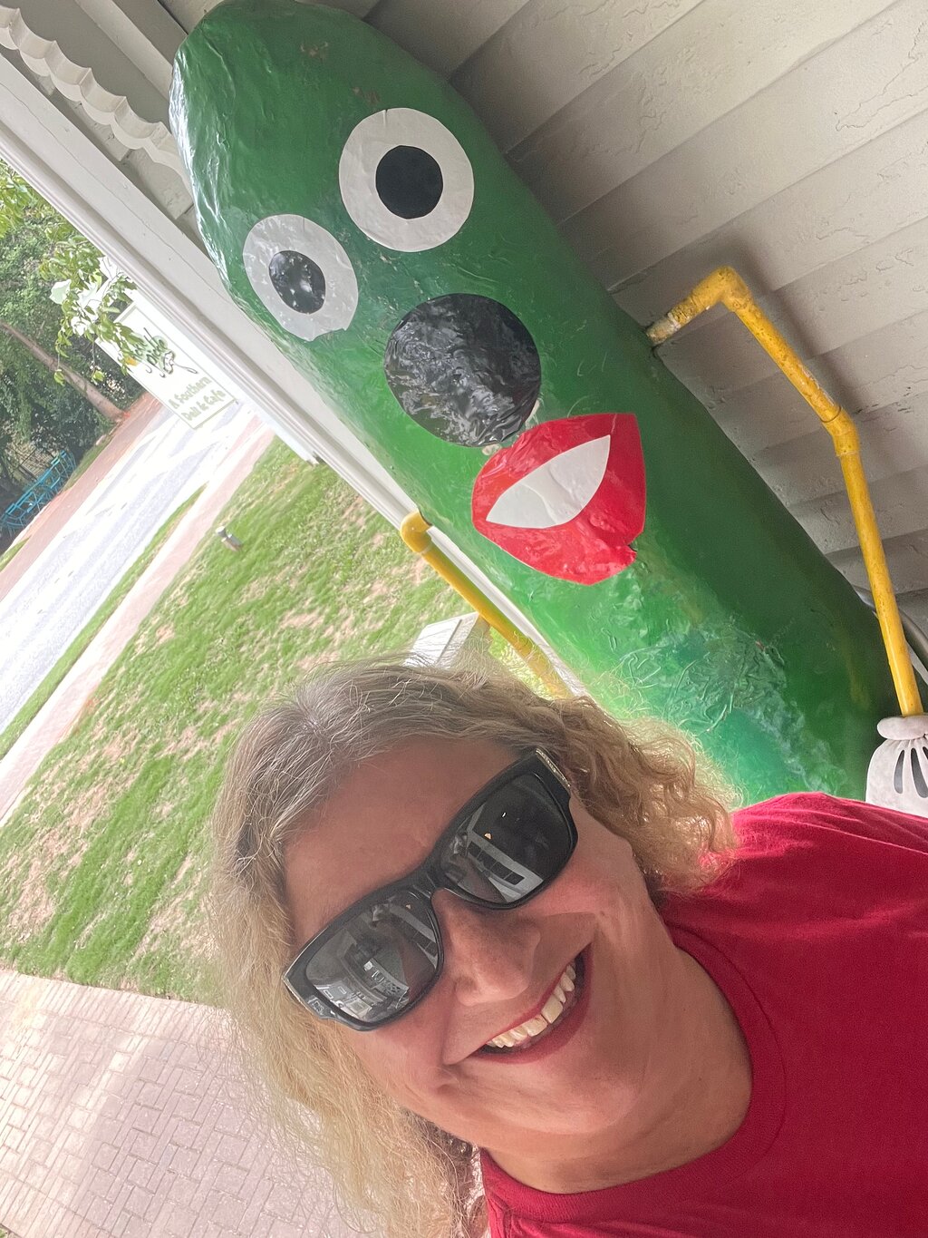 The Fickle Pickle