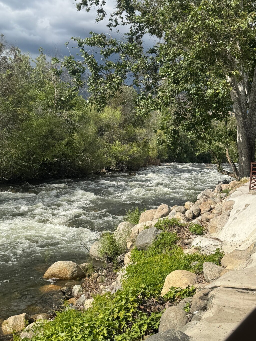 River View Restaurant & Lounge