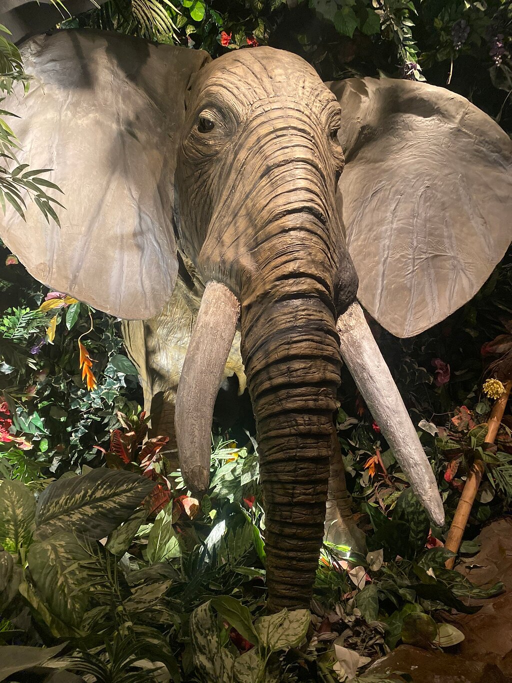 Rainforest Cafe