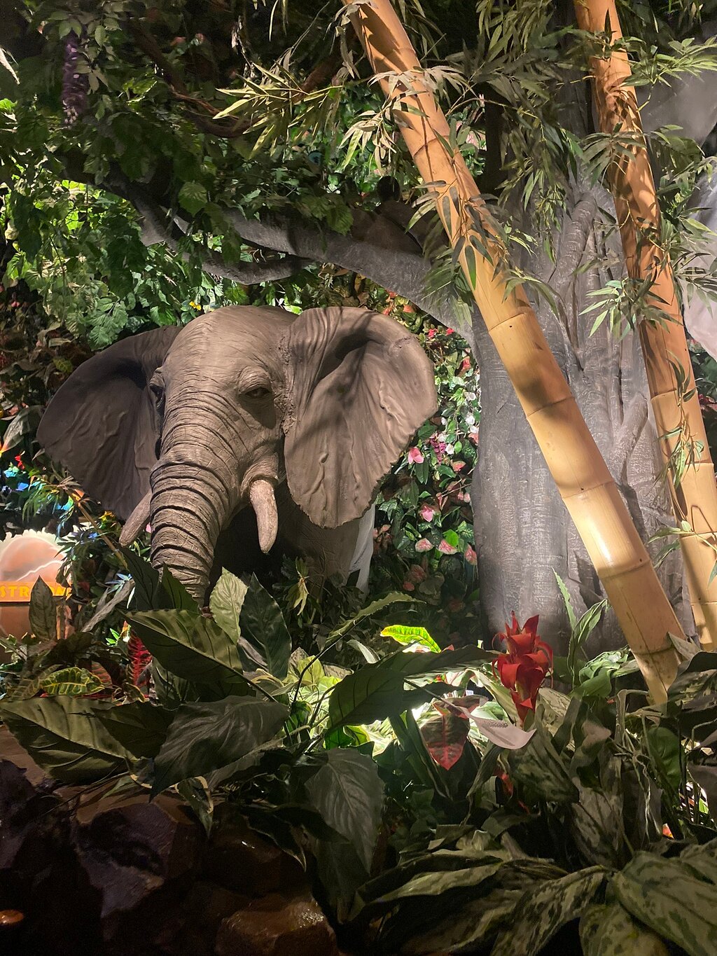 Rainforest Cafe
