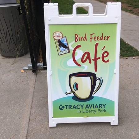 The Bird Feeder Cafe