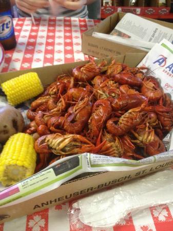 Cub's Crawfish