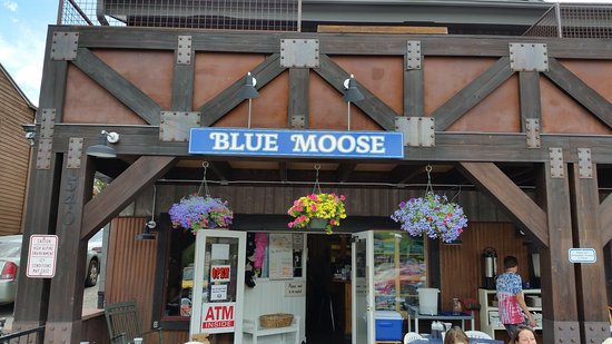 The Blue Moose