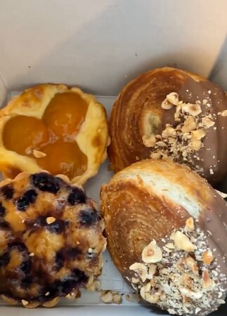 Pane E Circo