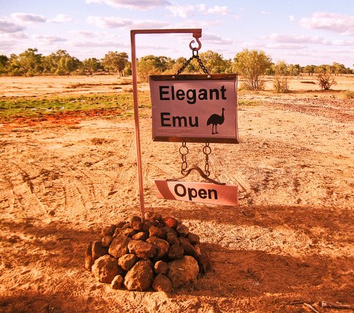 Elegant Emu