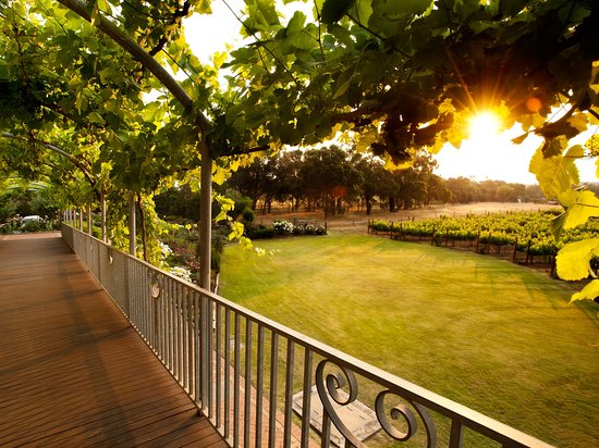 Capel Vale Winery & Match Restaurant