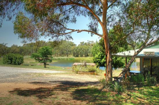 Allambie Orchard Cafe