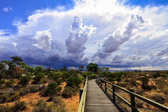 Arid Lands Botanic Garden Cafe