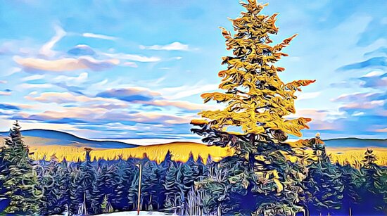 Rolling Hills