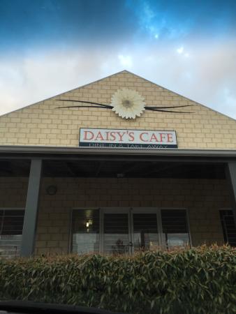 Daisy's Cafe