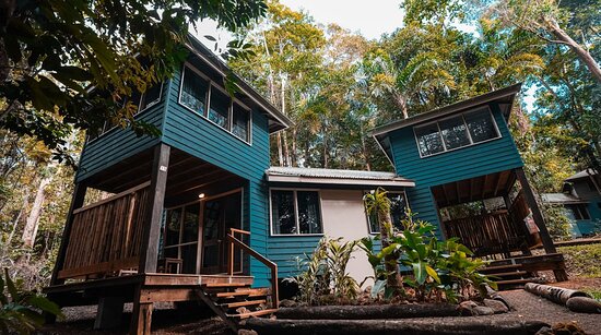Ferntree Rainforest Lodge