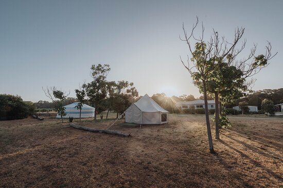 Boogaloo Camp