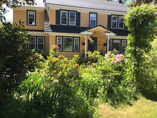 The Stella Rose B&B