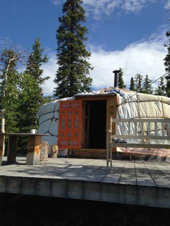 Traveling Light Bed and Breakfast