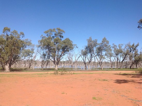 Lara Wetlands
