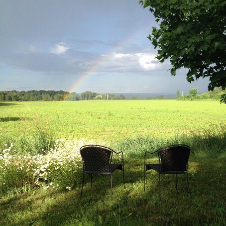 Country Blossom Bed & Breakfast