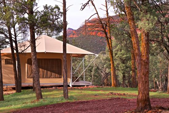 Ikara Safari Camp
