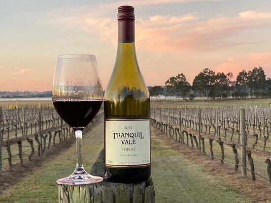 Tranquil Vale Vineyard