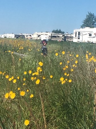 Camping aux Flots Bleus