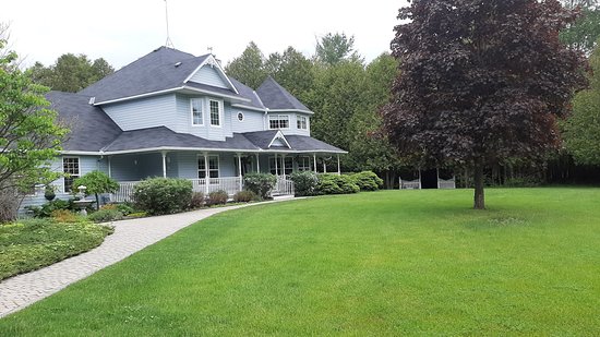 The Boston T B & B