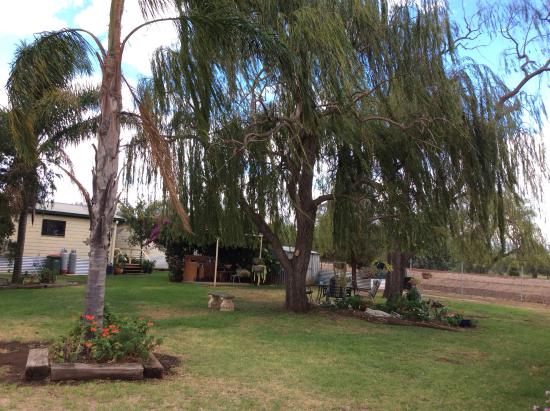 Narromine Tourist Park