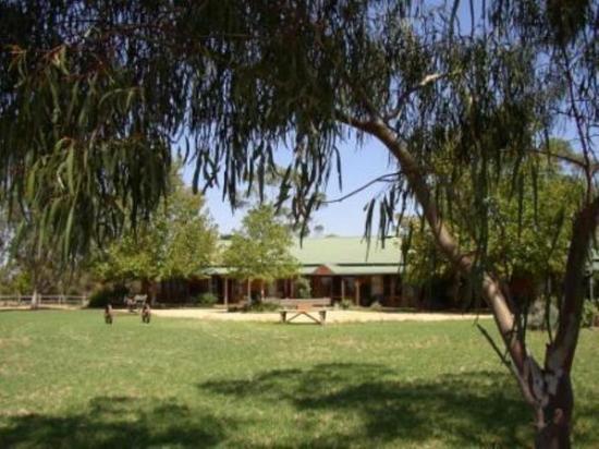 The Vineyard Motel