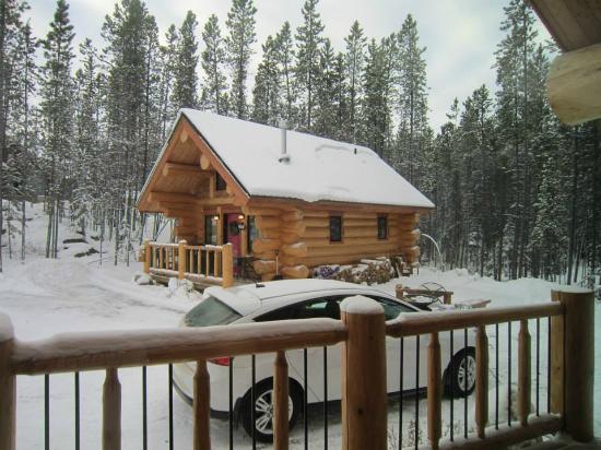 Yukon Pines Cabins