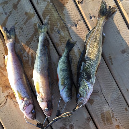 Elk Lake Wilderness Resort