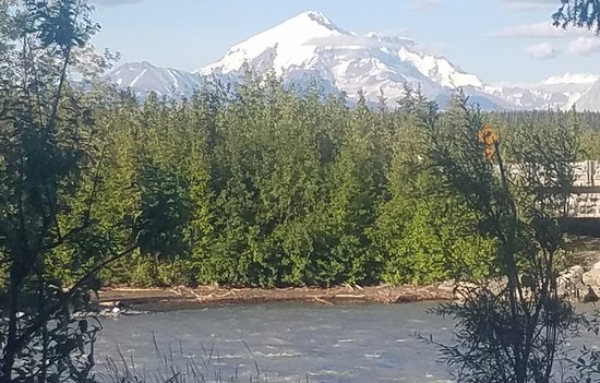 Salmon Grove Campground And Charters