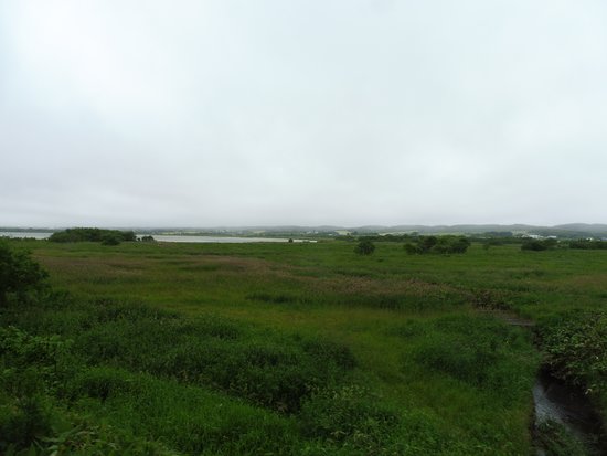 Kabutonuma Park Campsite