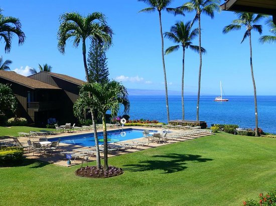 Mahina Surf