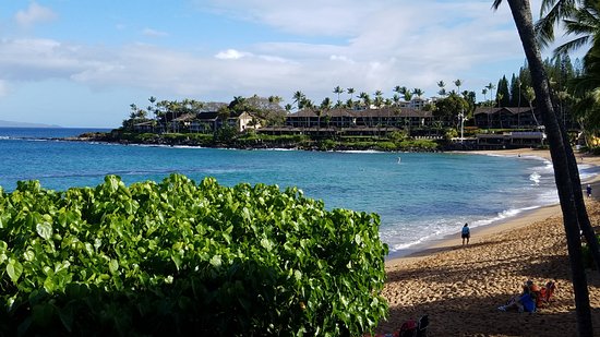 The Napili Bay