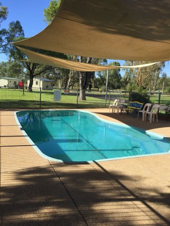 Junee Tourist Park