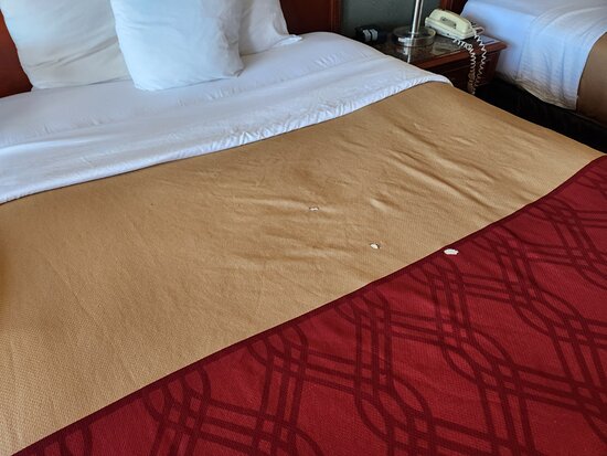 Econolodge Port Canaveral Area