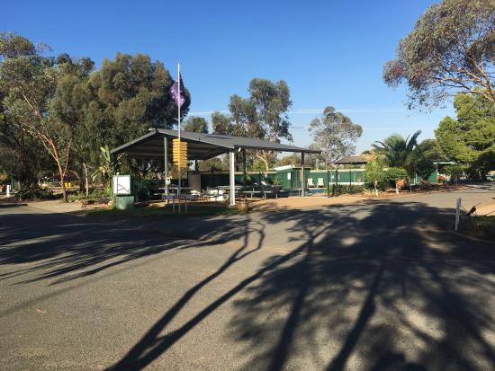 Ace Caravan Park