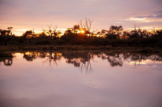 Birdsville Tourist Park