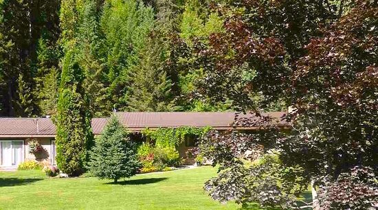 The Messy Owl Inn and Eco Haven