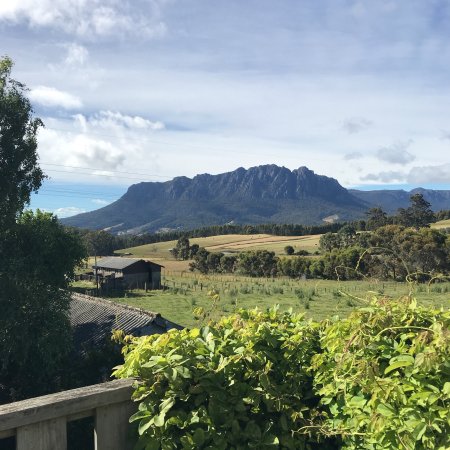 Carinya Farm & The Barn Mt Roland