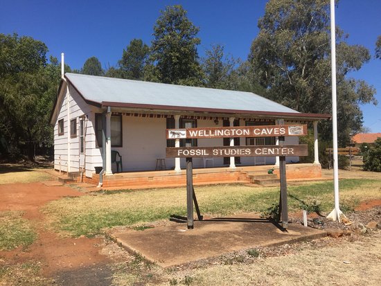 Wellington Caves & Holiday Complex