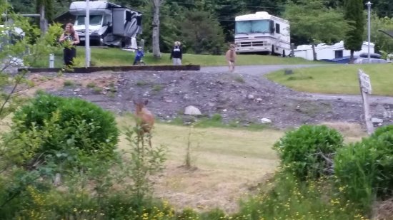 Prince Rupert RV Campground