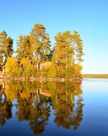 Timber Point Camp