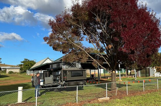 West Wyalong Showgrounds