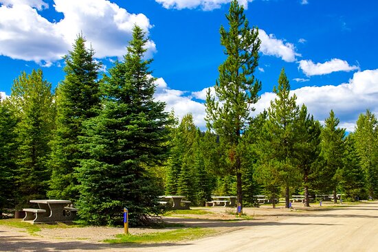 Forest Rose Campground