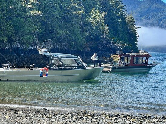 Queen Charlotte Safaris