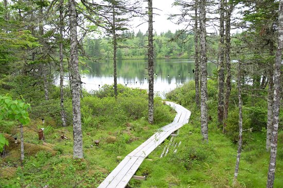 Porters Peak Adventure Getaway