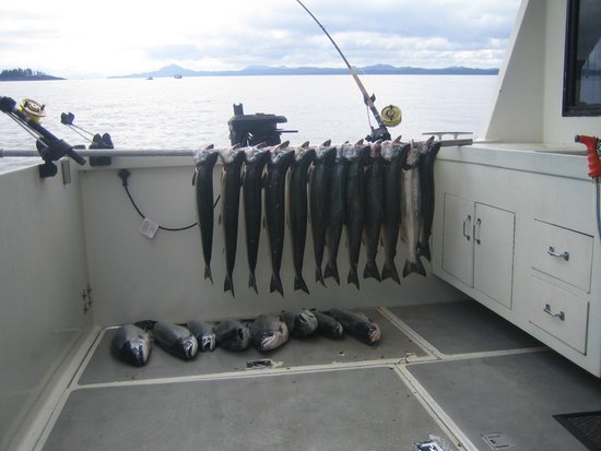 Shearwater Resort & Marina